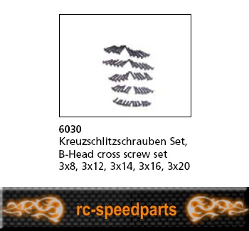 6030 - Kreuzschlitzschrauben Set 3x8,3x12,3x14,3x16,3x20