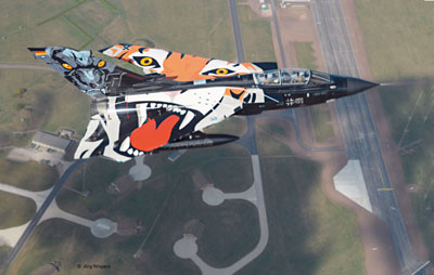 Artikel-Bild-04660 - Tornado Black Panther