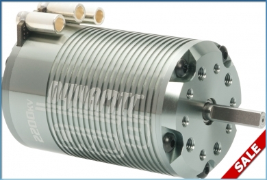 Artikel-Bild-53240 - Dynamic 8 Brushless Motor 2200kV